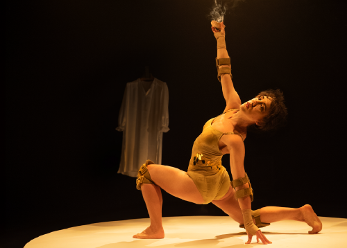 MUESTRA TEATRO 33_zorra dorada